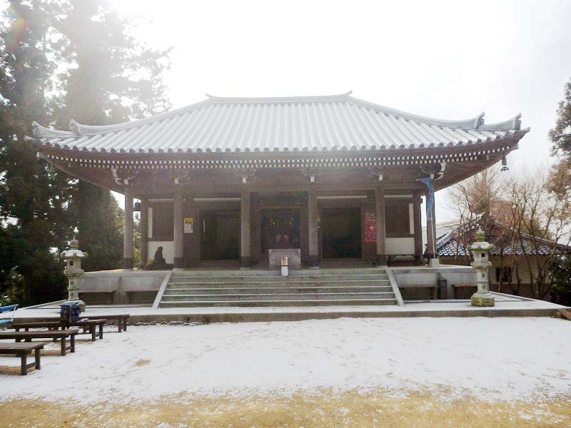 岸